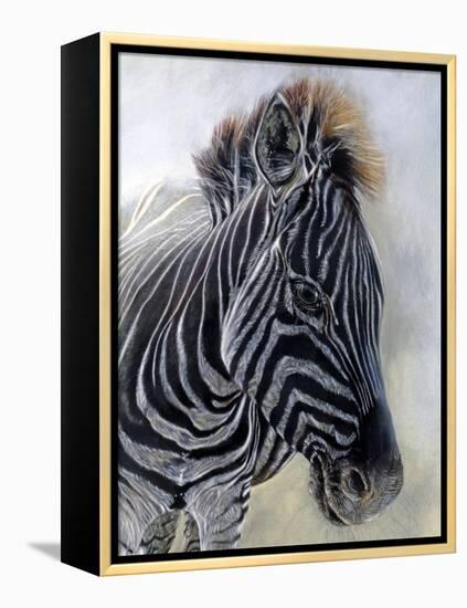 Equus burchelli 1, 2009-Odile Kidd-Framed Premier Image Canvas