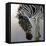 Equus burchelli 2, 2010-Odile Kidd-Framed Premier Image Canvas