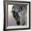 Equus burchelli 2, 2010-Odile Kidd-Framed Giclee Print