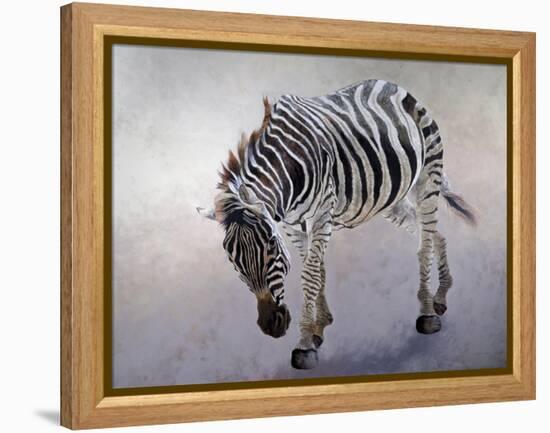 Equus burchelli 2, 2010-Odile Kidd-Framed Premier Image Canvas