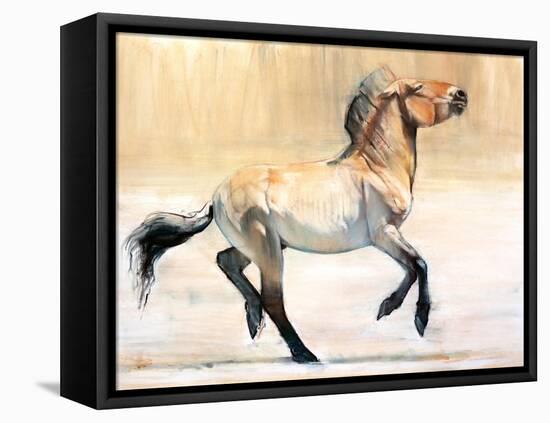 Equus (Przewalski), 2014-Mark Adlington-Framed Premier Image Canvas