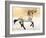 Equus (Przewalski), 2014-Mark Adlington-Framed Giclee Print