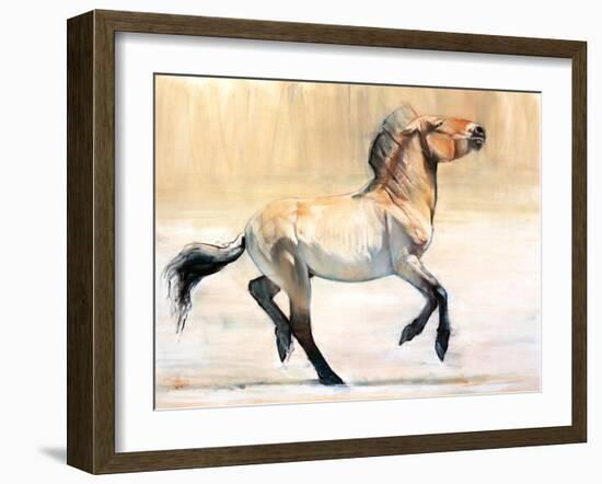 Equus (Przewalski), 2014-Mark Adlington-Framed Giclee Print