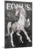 Equus Stallion BW-Albena Hristova-Mounted Art Print