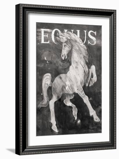 Equus Stallion BW-Albena Hristova-Framed Art Print