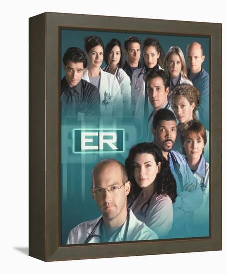 ER-null-Framed Stretched Canvas