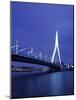 Erasmus Bridge, Rotterdam, Holland-Jon Arnold-Mounted Photographic Print