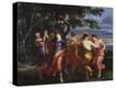 Stretched Canvas Print