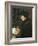 Erasmus-Hans Holbein the Younger-Framed Art Print