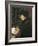 Erasmus-Hans Holbein the Younger-Framed Art Print