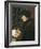 Erasmus-Hans Holbein the Younger-Framed Art Print