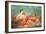 Erato, the Muse of Love Poetry-Francois Boucher-Framed Giclee Print