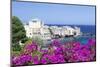 Erbalunga, Corsica, France, Mediterranean, Europe-Markus Lange-Mounted Photographic Print