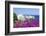 Erbalunga, Corsica, France, Mediterranean, Europe-Markus Lange-Framed Photographic Print