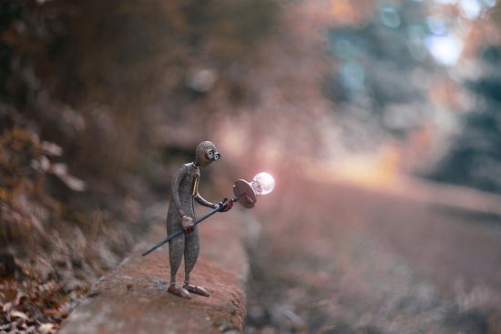 Photographic Print, , large
