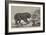 Erebus and Terror-John William Bottomley-Framed Giclee Print