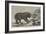 Erebus and Terror-John William Bottomley-Framed Giclee Print