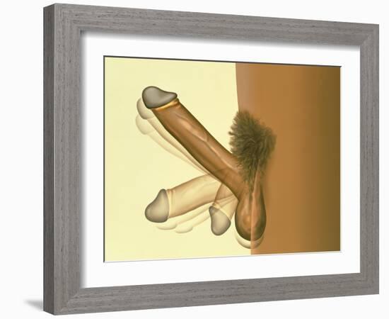 Erecting Penis-Henning Dalhoff-Framed Photographic Print