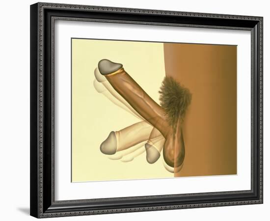 Erecting Penis-Henning Dalhoff-Framed Photographic Print