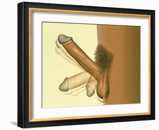 Erecting Penis-Henning Dalhoff-Framed Photographic Print