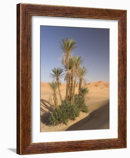 Erg Chebbi, Merzouga, Sahara Desert, Morocco, North Africa, Africa-Gavin Hellier-Framed Photographic Print