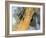 Erg Iguidi Desert, Satellite Image-PLANETOBSERVER-Framed Photographic Print