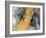 Erg Iguidi Desert, Satellite Image-PLANETOBSERVER-Framed Photographic Print