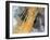 Erg Iguidi Desert, Satellite Image-PLANETOBSERVER-Framed Photographic Print