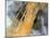 Erg Iguidi Desert, Satellite Image-PLANETOBSERVER-Mounted Photographic Print