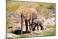 Photographic Print