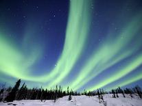 Northern Lights Northwest Territories, March 2008, Canada-Eric Baccega-Photographic Print