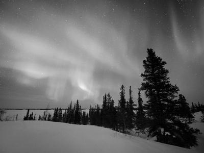 pulver omvendt Kvalifikation Northern Lights Northwest Territories, March 2008, Canada' Photographic  Print - Eric Baccega | Art.com