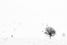 A Cold Winter-Eric Drigny-Framed Premier Image Canvas