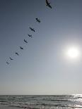 Pelicans Pass over Boca Chica, Texas-Eric Gay-Premier Image Canvas