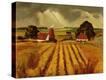 Stretched Canvas Print