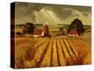 Stretched Canvas Print