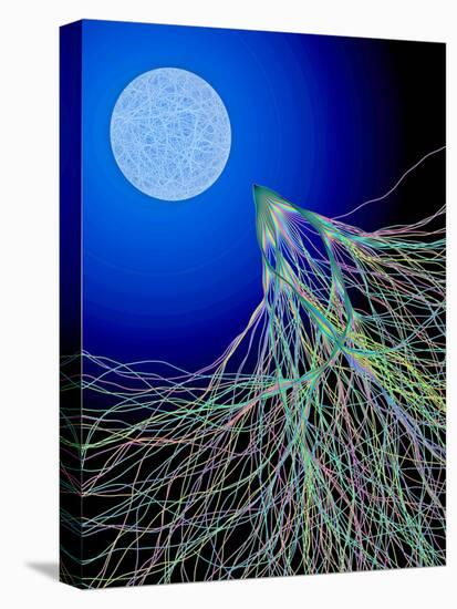Stretched Canvas Print, , large