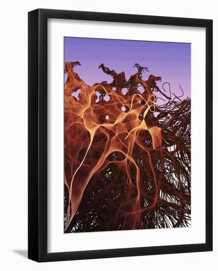Photographic Print, , large