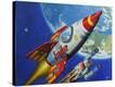 Stretched Canvas Print