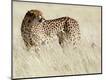 Premium Photographic Print