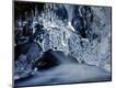 Premium Photographic Print
