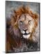 Premium Photographic Print