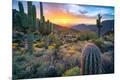 Photographic Print