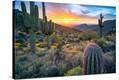 Stretched Canvas Print