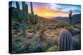 Stretched Canvas Print