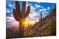 Premium Photographic Print