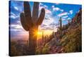 Stretched Canvas Print