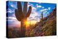 Stretched Canvas Print