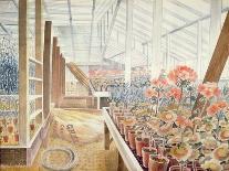 The Greenhouse: Cyclamen and Tomatoes-Eric Ravilious-Giclee Print