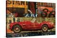 Stretched Canvas Print